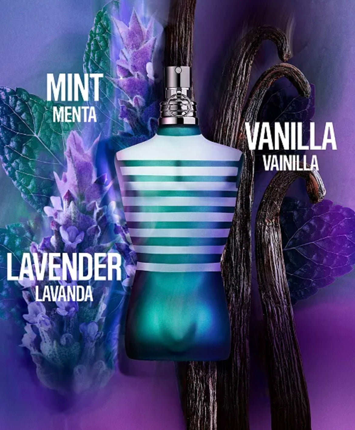 Le Male by Jean Paul Gaultier