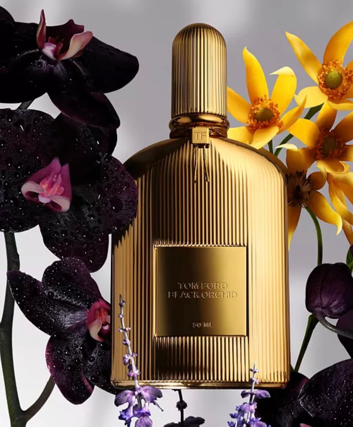 Black orchid Parfum 1.7oz by Tom Ford